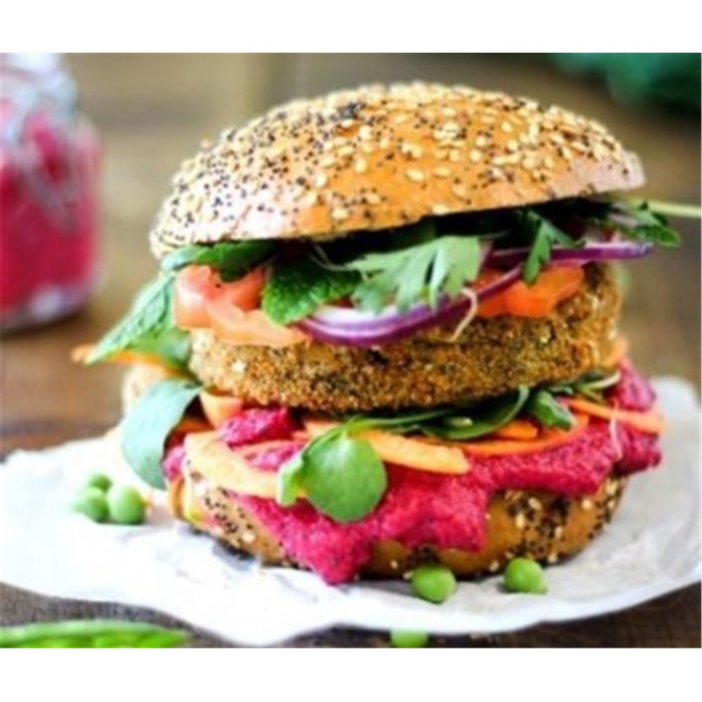Vegan Burger Aromatic Garden (20pc x 145g)