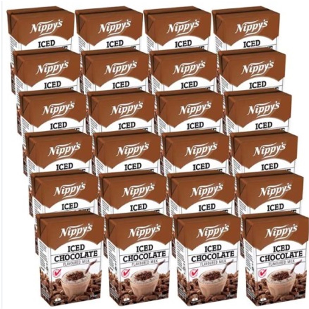 Iced Chocolate Milk 24 x 250ml