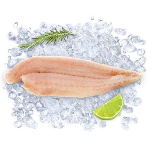 Barracouta Fillets p/kg