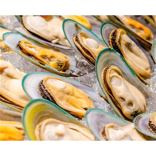 Mussel Meat Half Shell