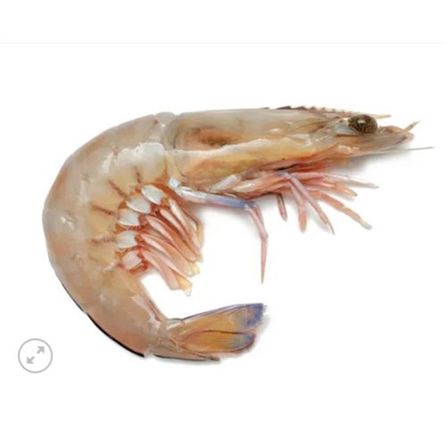 AUS Prawn Green (Raw) 5kg Carton U10