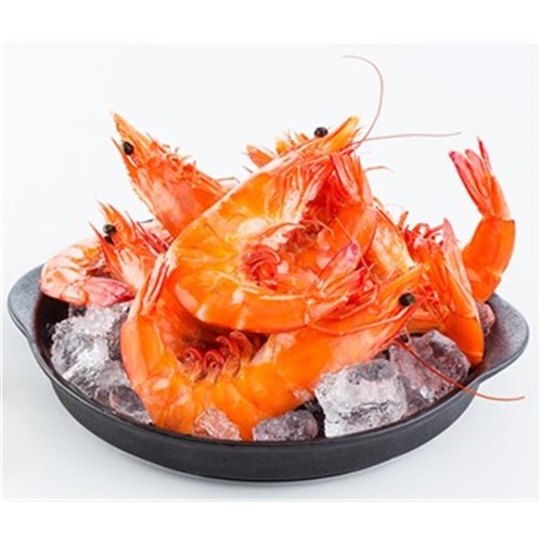 Cooked Prawns U10 SA King XL (approx 21prawns kg)