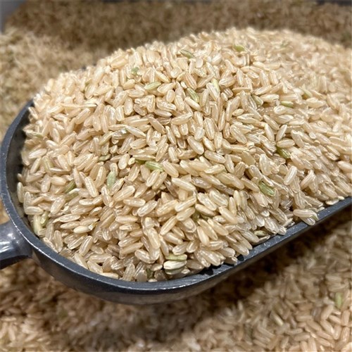 Medium Grain Brown Rice 