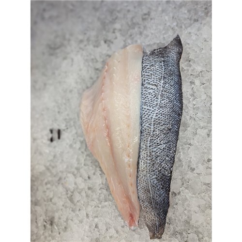Fresh Blue Eye Fillets