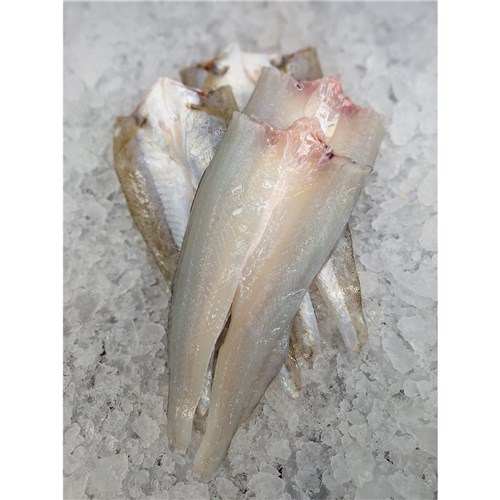 King George  Whiting (LM)