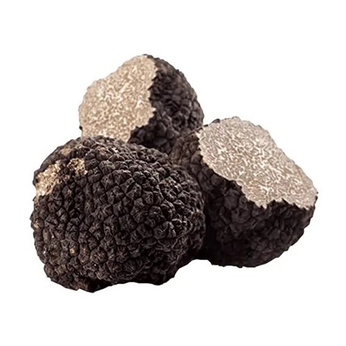 Fresh Australian Summer Truffles per gram
