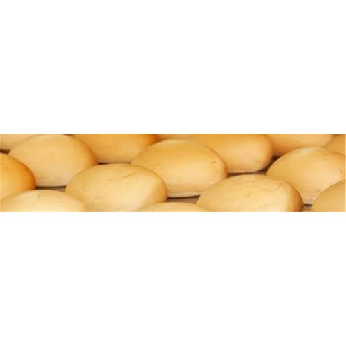 Donuts Blank no Jam (Plain) 100s