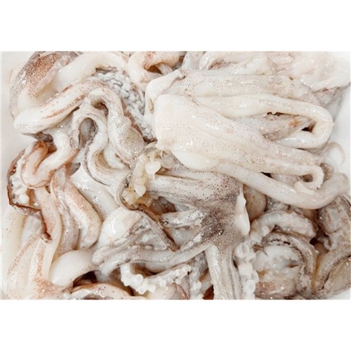 LOCAL Squid Tentacles 10kg