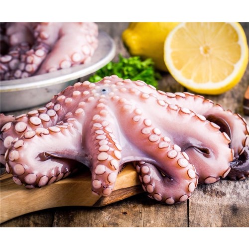 South Africa Octopus Head Off (2Kg-4kg) 15kg