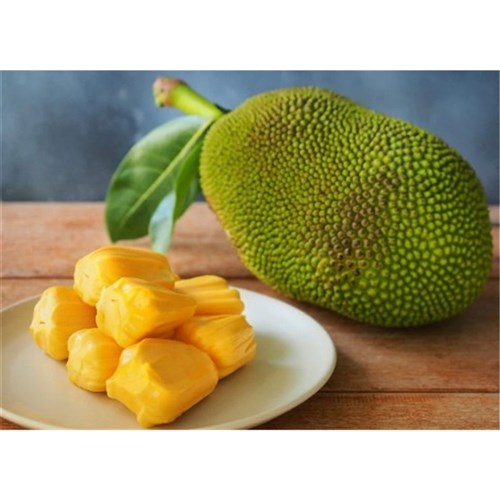 Green Jack Fruit 540g (12)