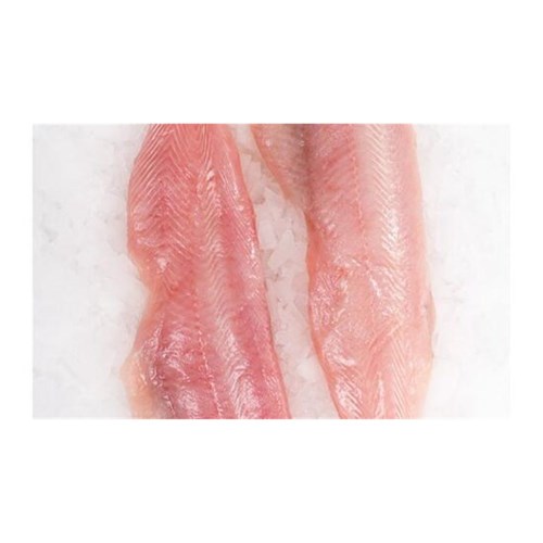 NZ Elephant Shark Fillets 