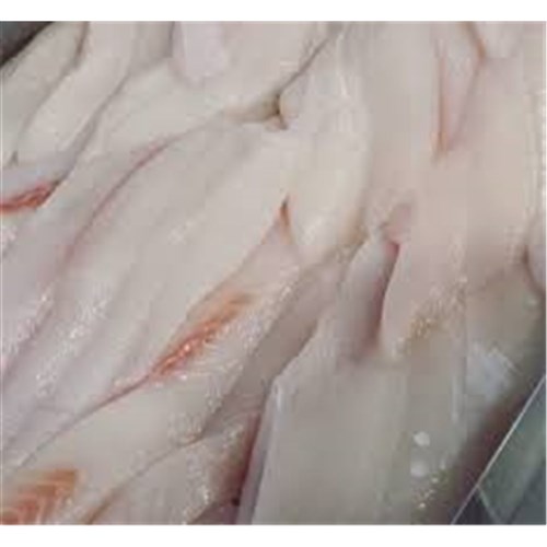 Bronzie Fillets GR 10kg