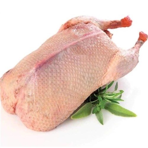 Duck - Whole Large 1-2.1kg FRZ