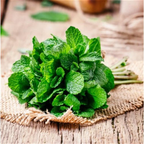Fresh Mint approx 110g Bunch