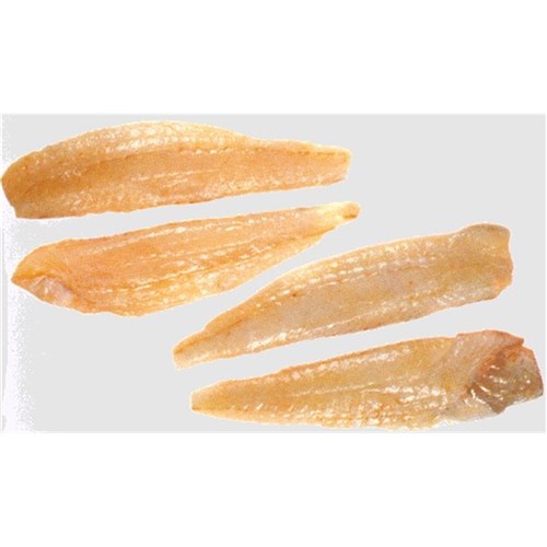 Flounder Yellowbelly G 700/800 10kg