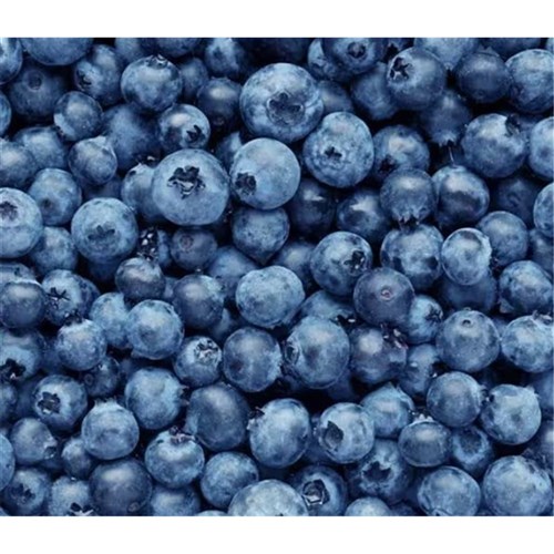 Blueberries Fresh 12x 125gm