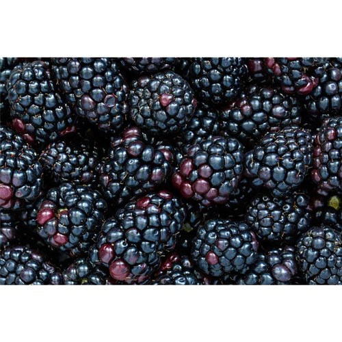 Blackberrires 12 x 125gm