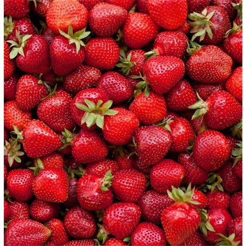 Strawberries Fresh 15 x 250gm