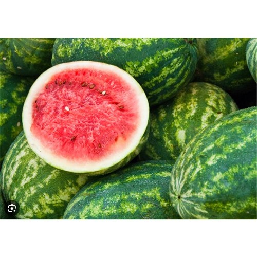 Watermelons Seedless