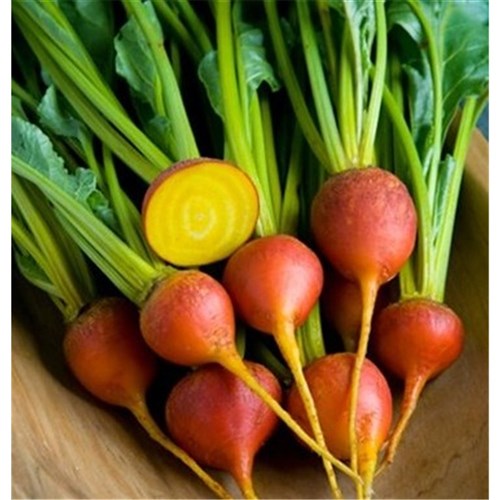Beetroot Golden 5kg Decks