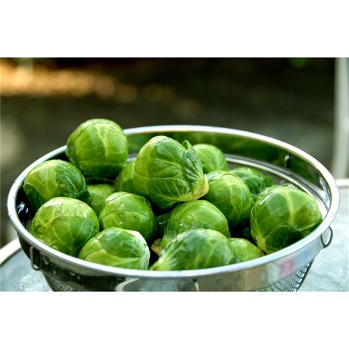 Brussels Sprouts Small 5kg