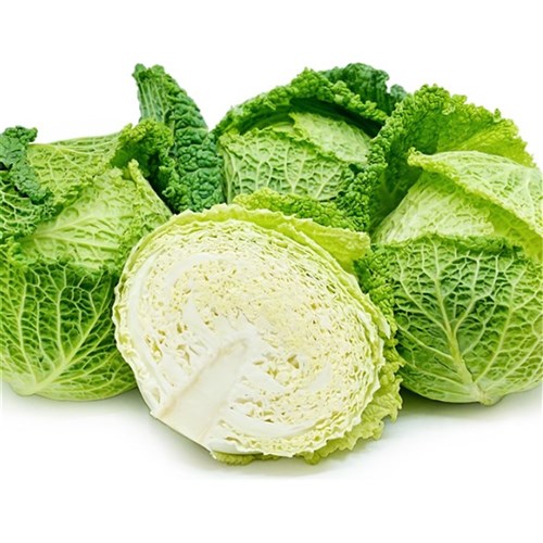 Cabbage Savoy (Deck of 10)