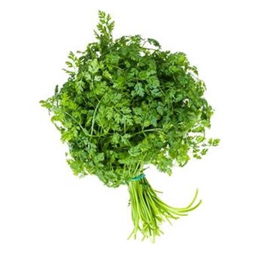 Chervil Bunch (10 bunch/Deck)