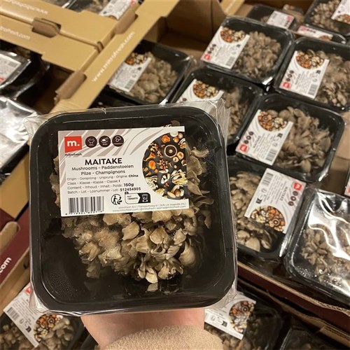 Fresh Mushroom - Miatake Punnet 