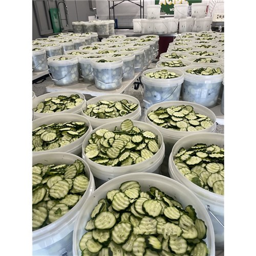 Classic Garlic Crinkle Cut Sliced Pickles 10kg