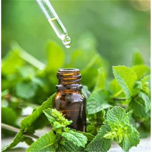 Mint Oil 35g