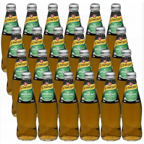 Soft Drink - Dry Ginger Ale (24x300ml) 
