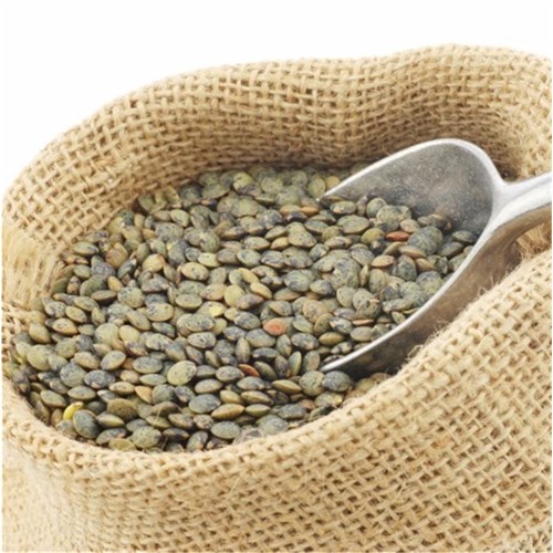 Du Puy Lentils 1kg