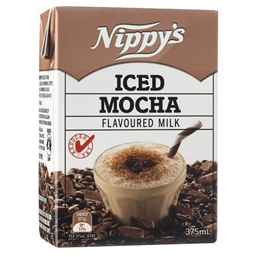 Iced Mocha Milk 24 x 375ml