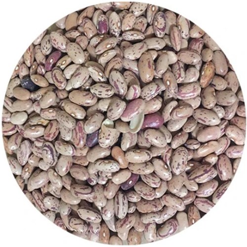 Borlotti Beans 1kg