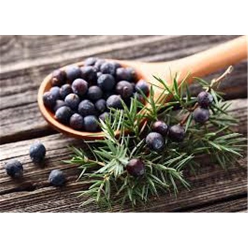 Juniper Berries 1kg