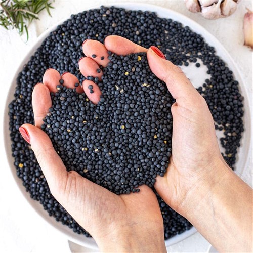 Dried Black Lentils 1kg