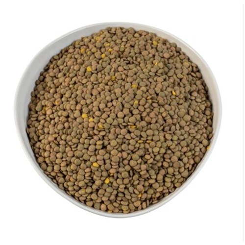 Dried Green/Brown Lentils 1kg
