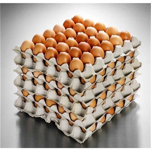 Eggs 800 15doz