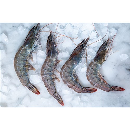 AUS Prawn Green (Raw) U8 1kg